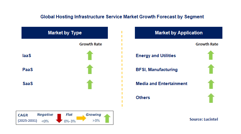 Hosting Infrastructure Service Market by Segment